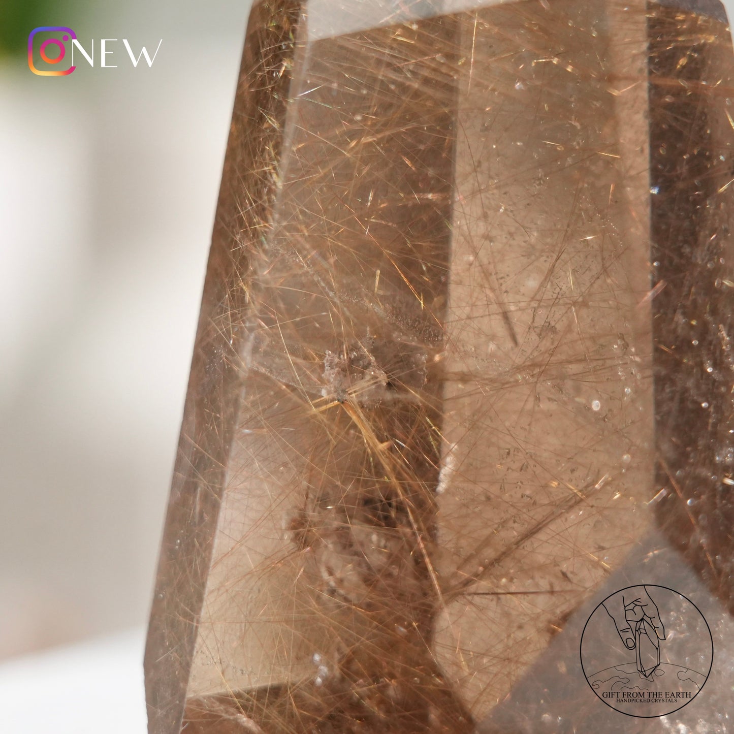 Crystal-in-crystal golden rutilated quartz point with white phantom