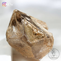 Skeletal Quartz