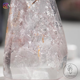 水膽紫骸骨水晶柱