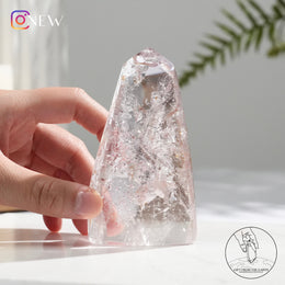 水膽紫骸骨水晶柱