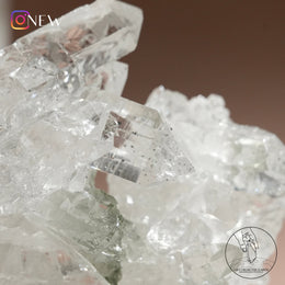 印度喜馬拉雅白水晶綠幽靈共生