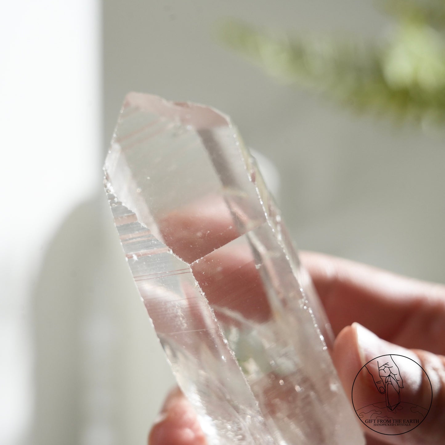 Brazilian lemurian quartz