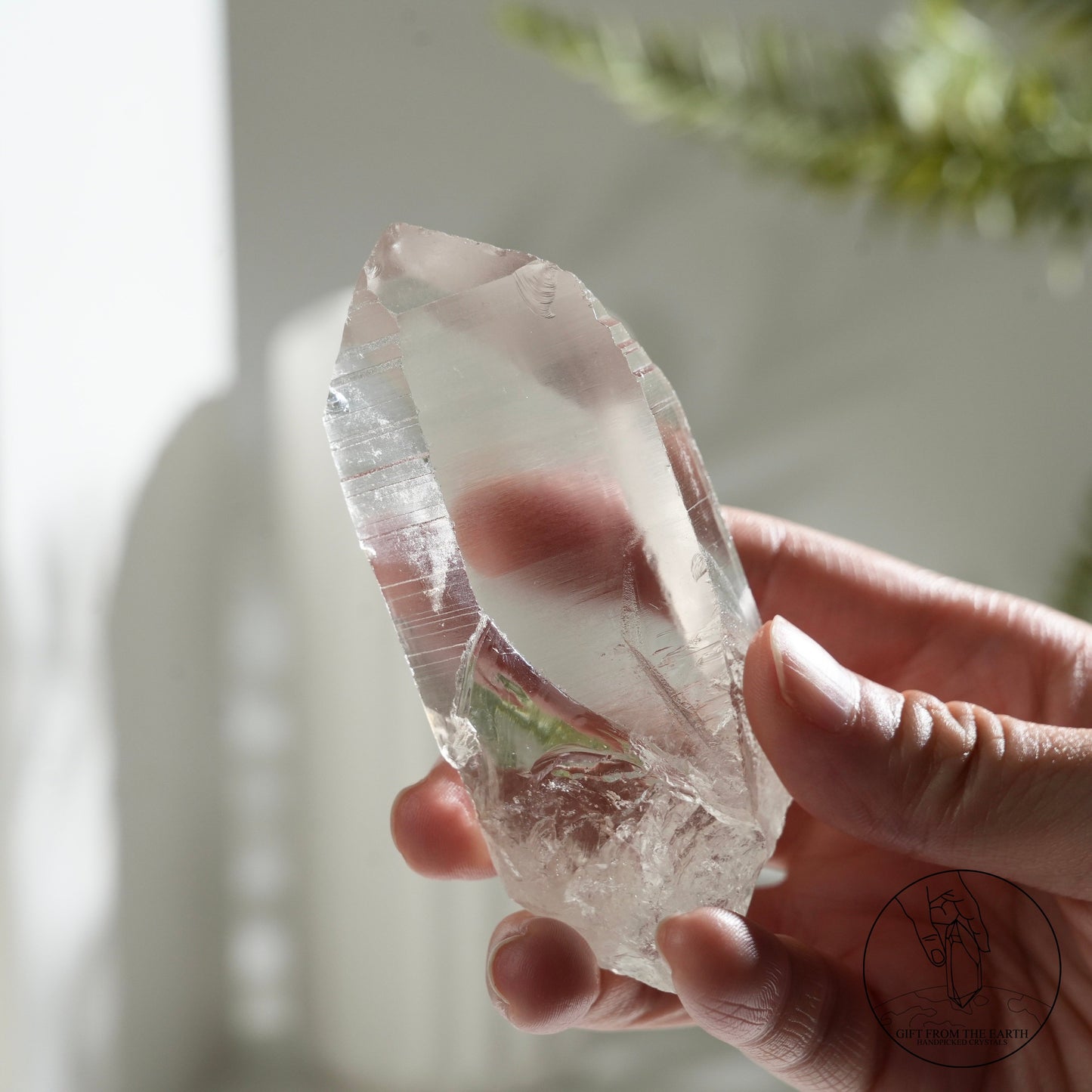 Brazilian lemurian quartz