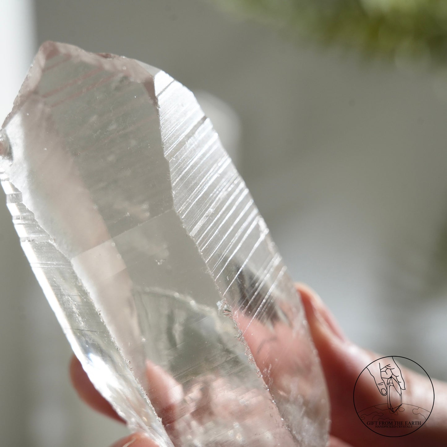 Brazilian lemurian quartz