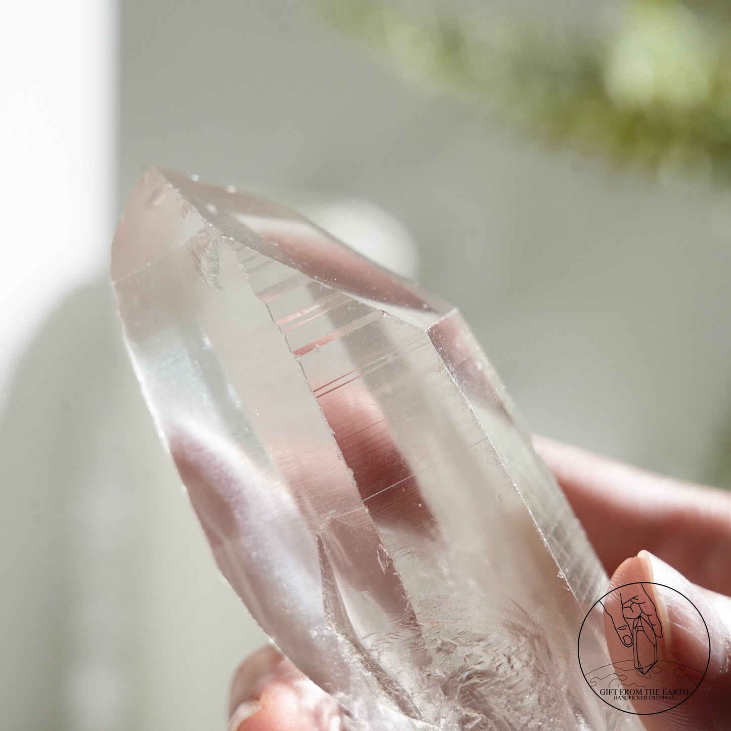 Brazilian lemurian quartz