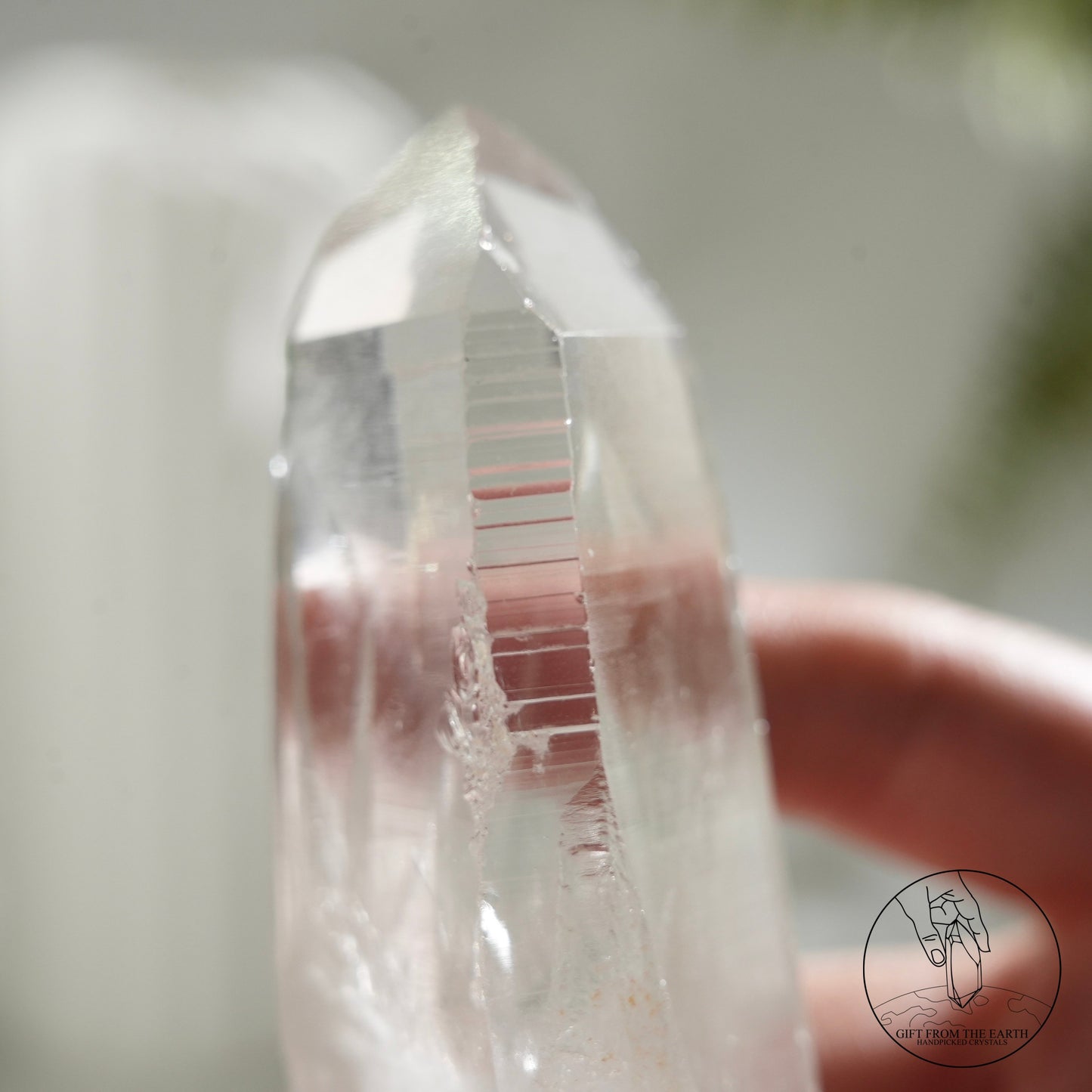 Brazilian lemurian quartz