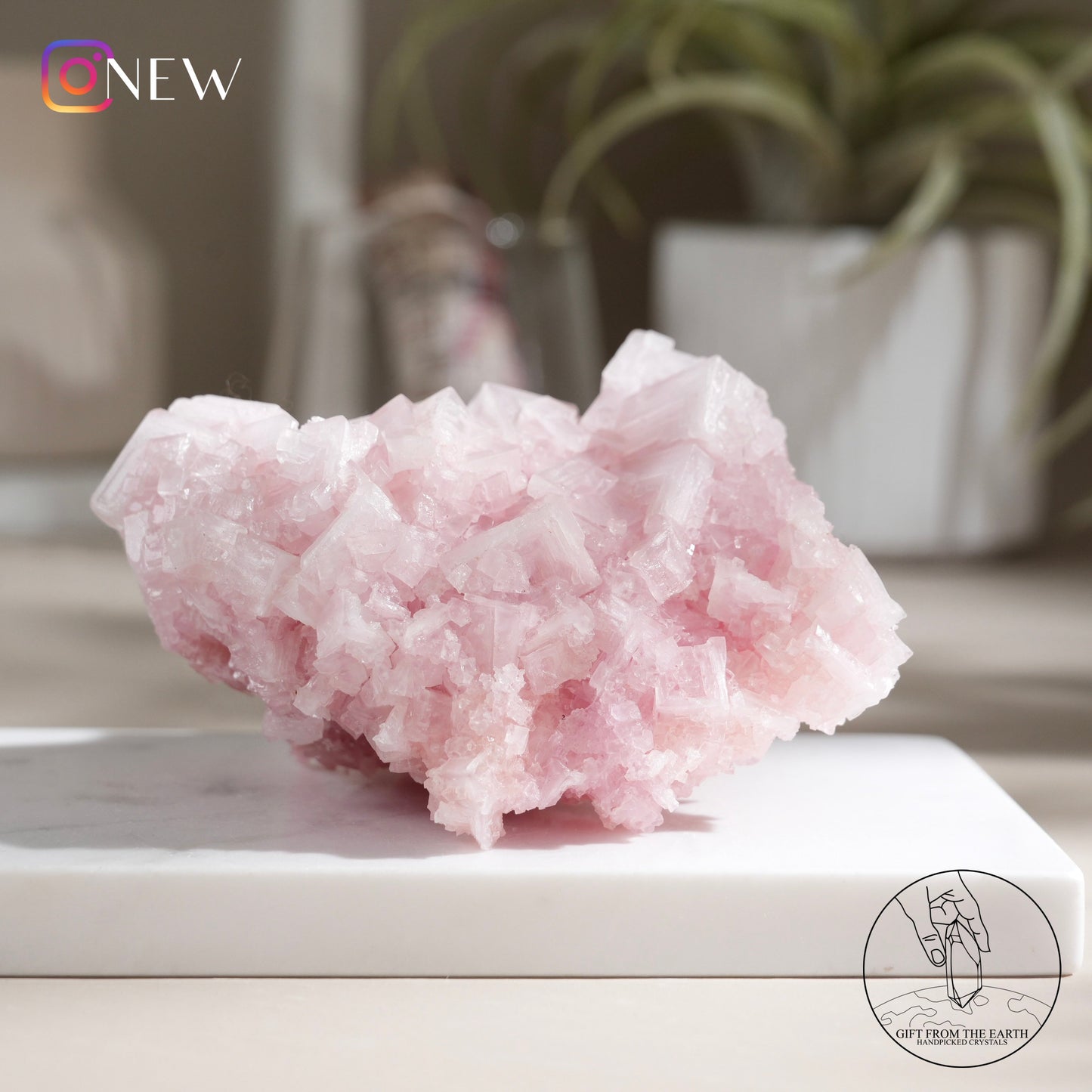 California pink halite