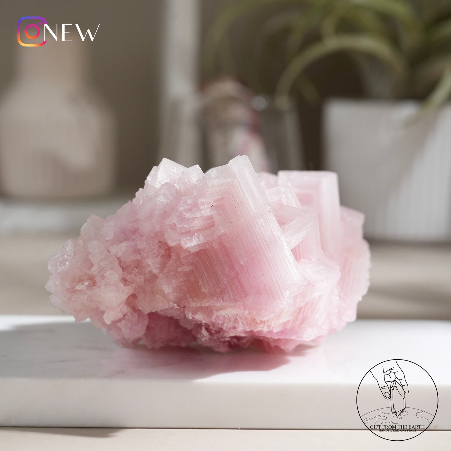 California pink halite