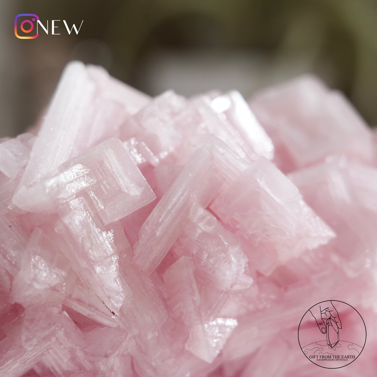 California pink halite