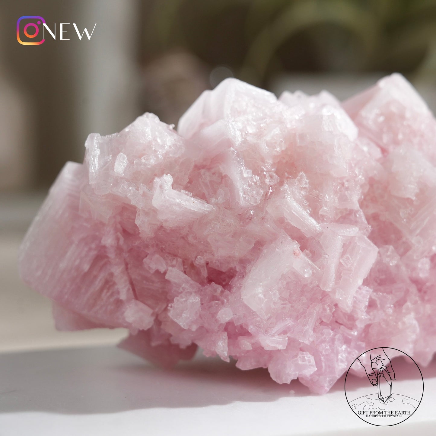 California pink halite