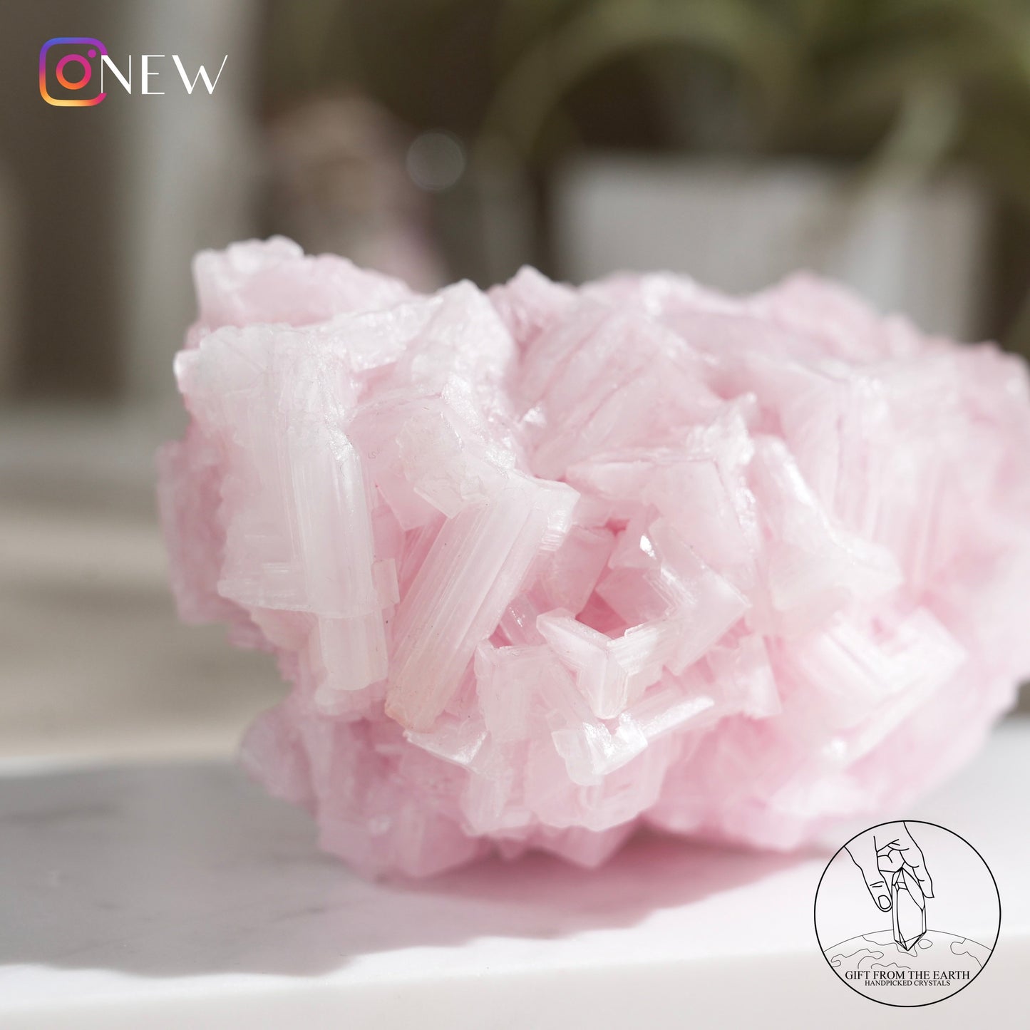 California pink halite