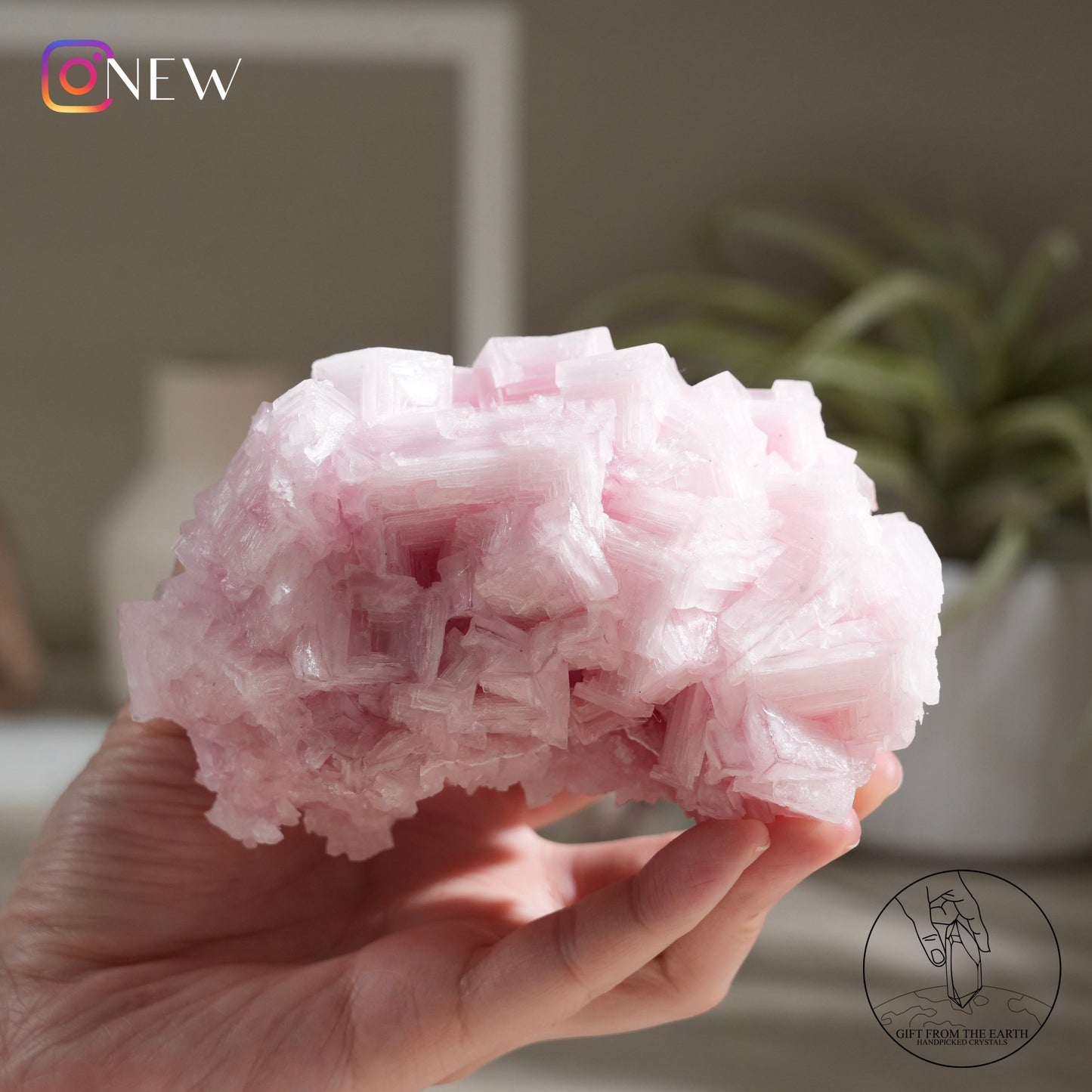 California pink halite