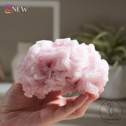 Pink Halite