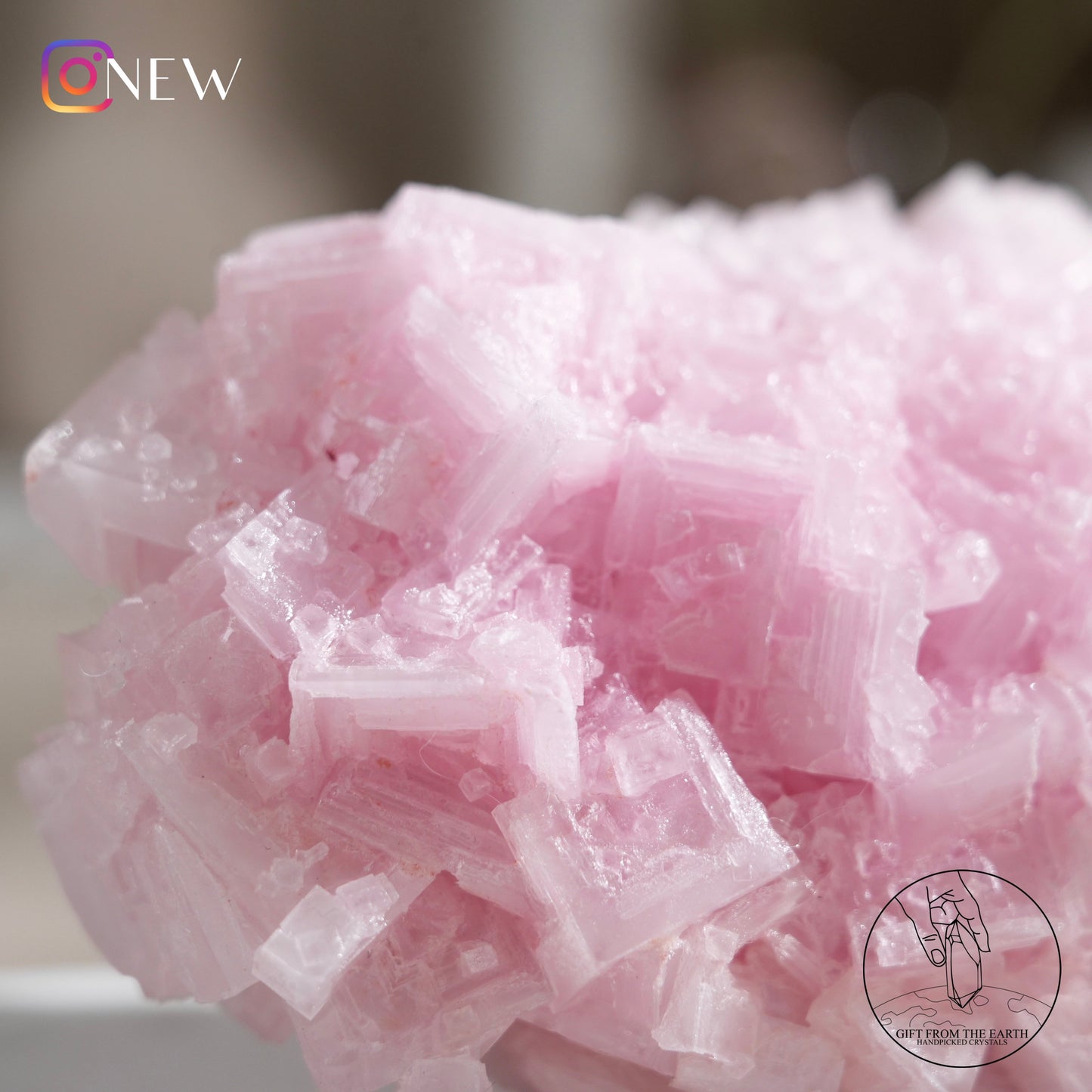 California pink halite