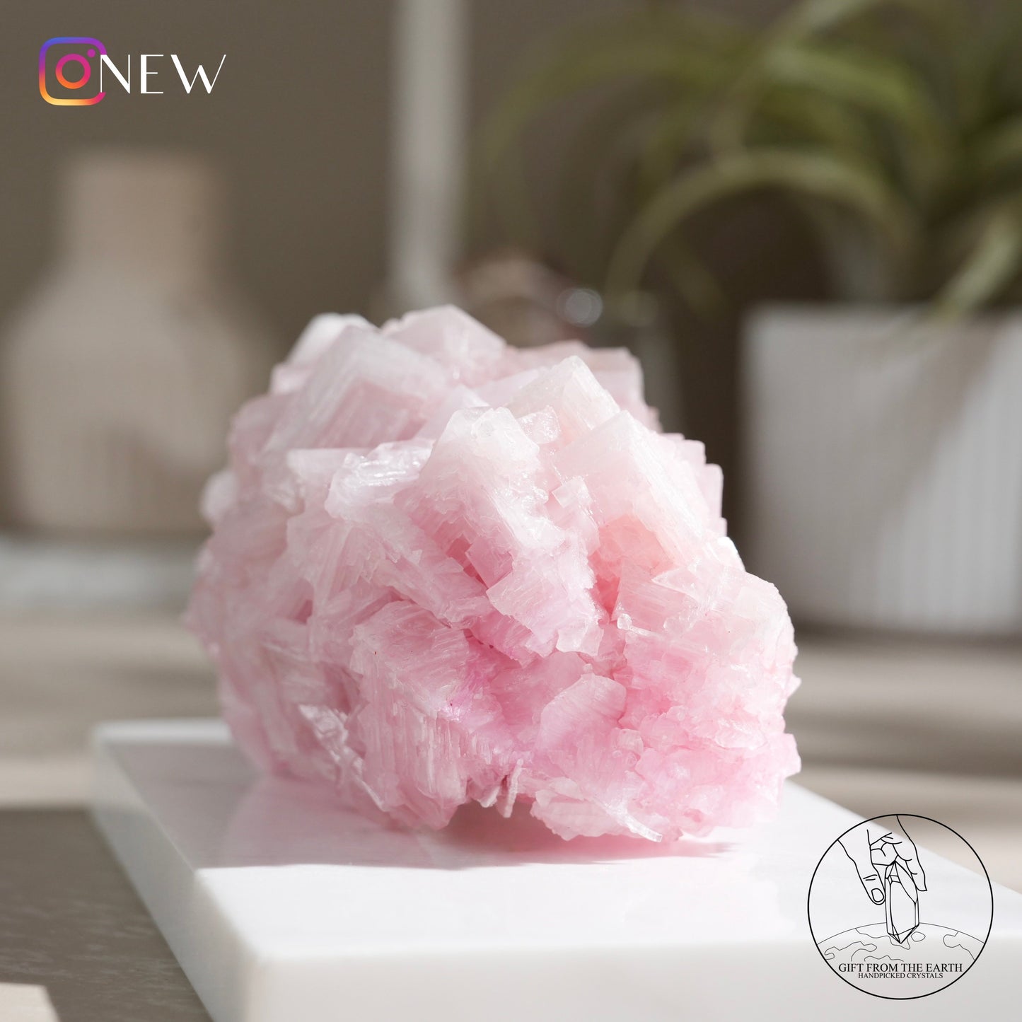 California pink halite