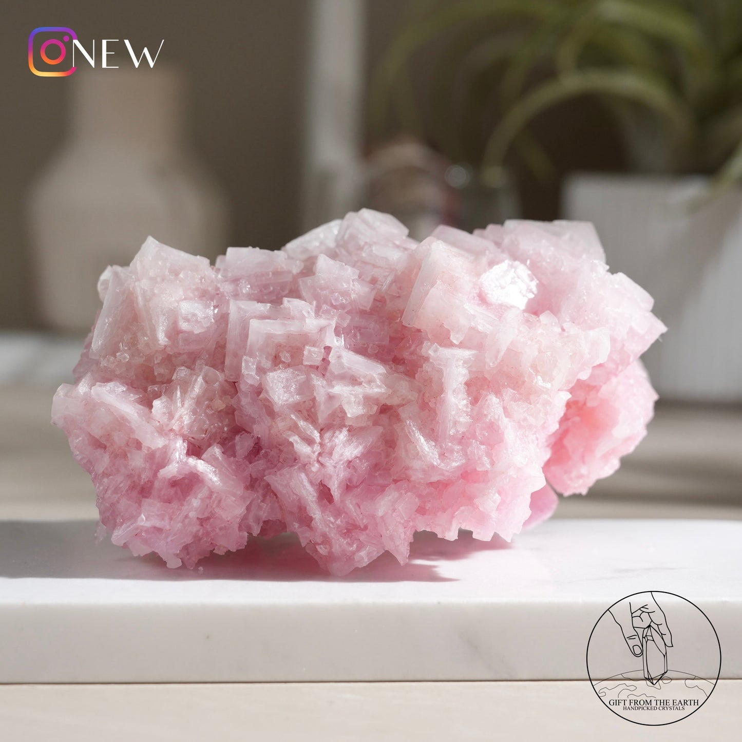 California pink halite