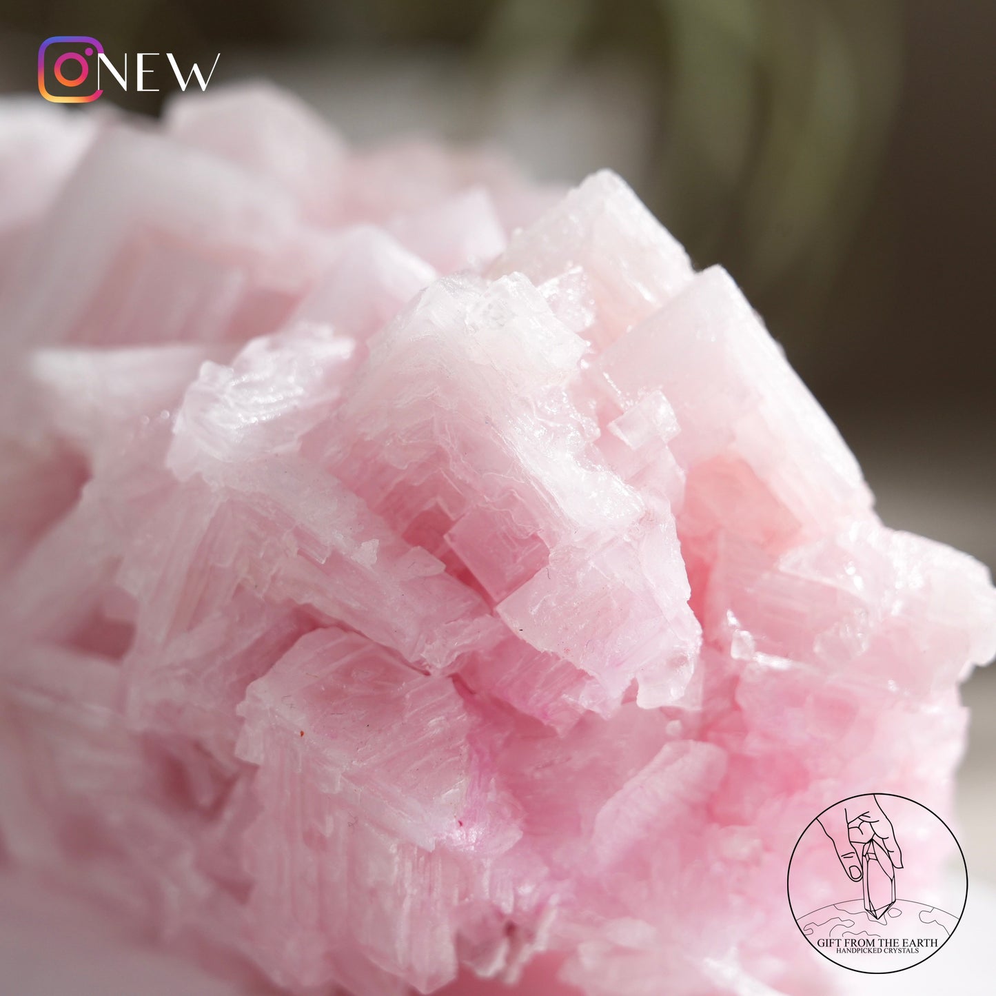 California pink halite