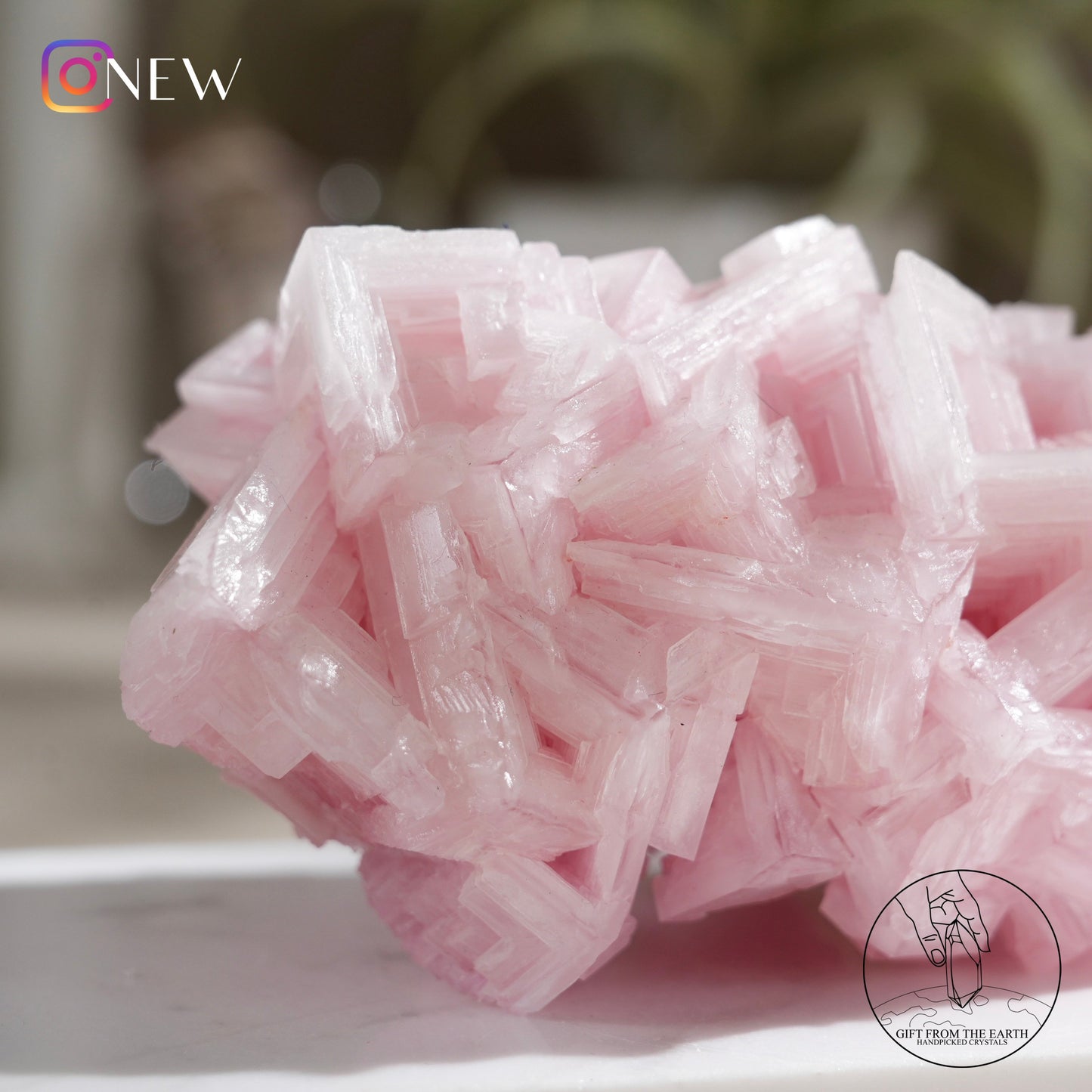 California pink halite