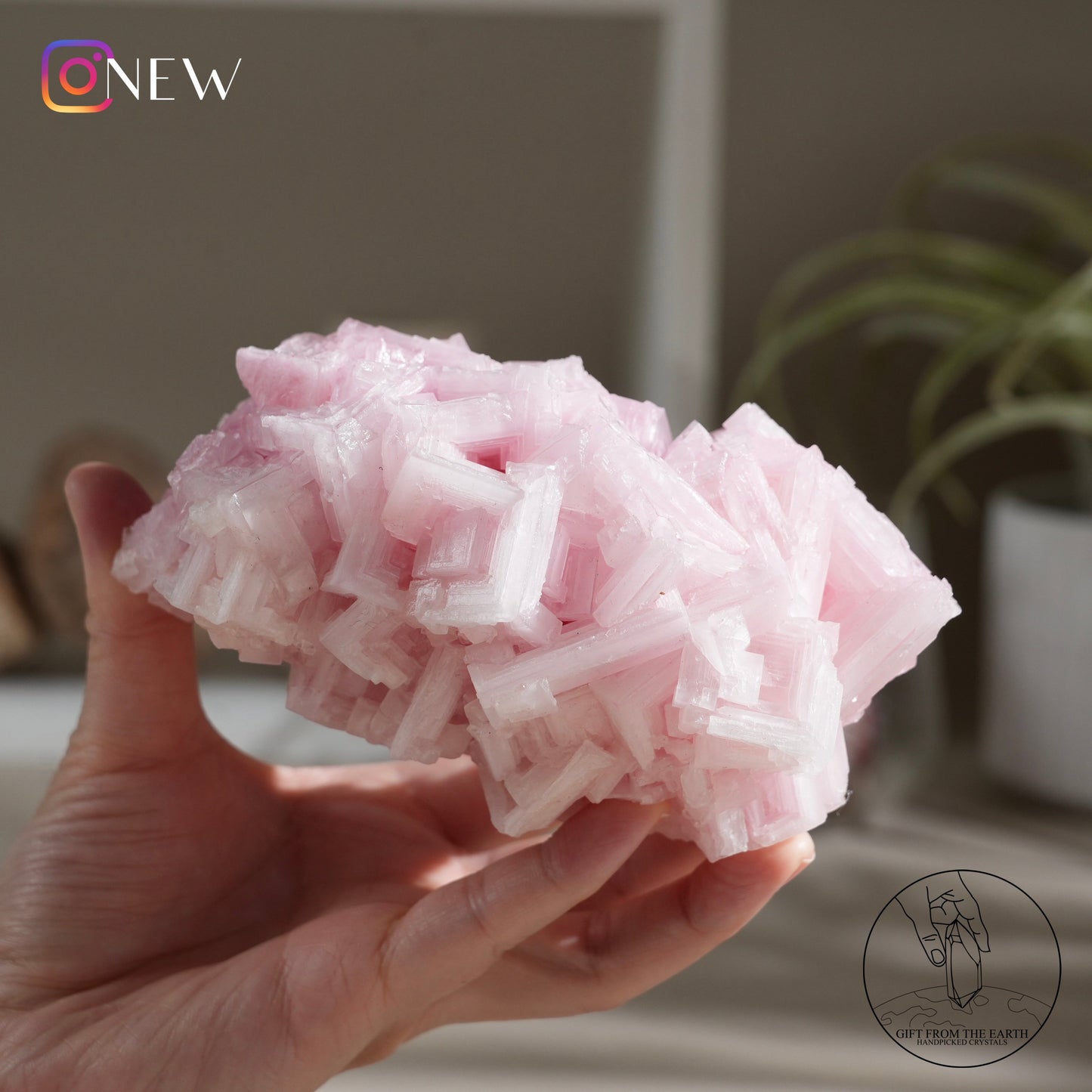 California pink halite