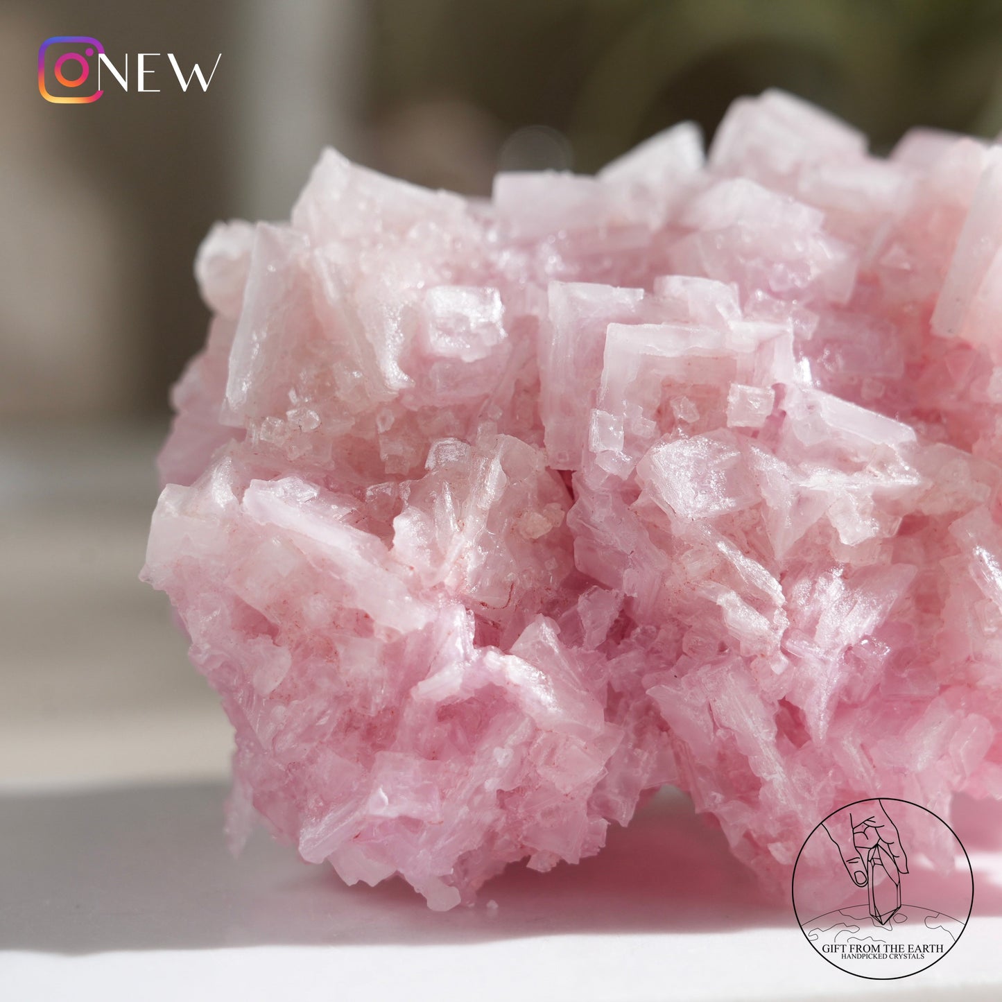 California pink halite