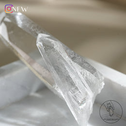 哥倫比亞雙生杜氏天狼星水晶