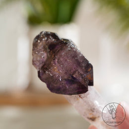 超七水晶權杖