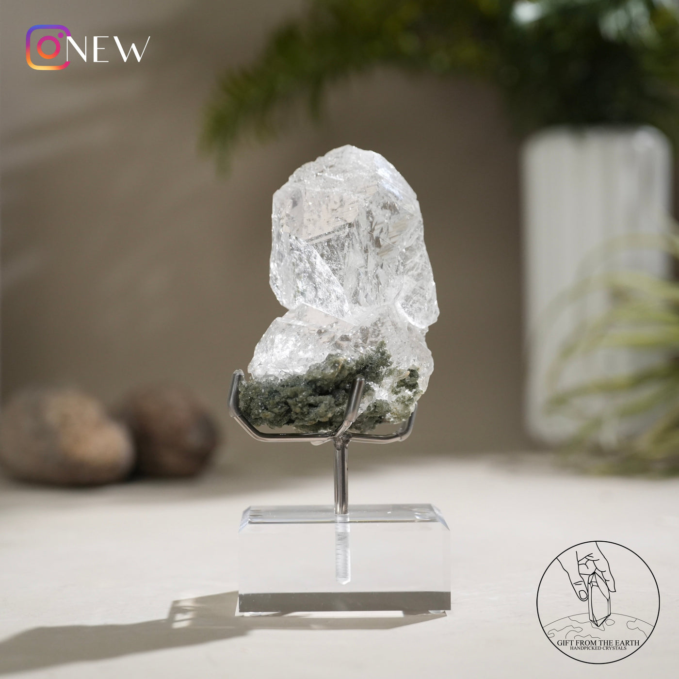 印度喜馬拉雅白水晶綠幽靈、金鈦晶共生