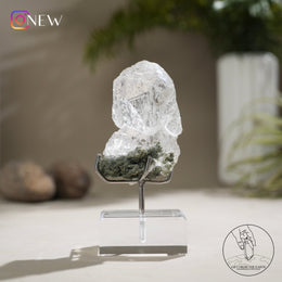 印度喜馬拉雅白水晶綠幽靈、金鈦晶共生