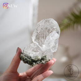 印度喜馬拉雅白水晶綠幽靈、金鈦晶共生
