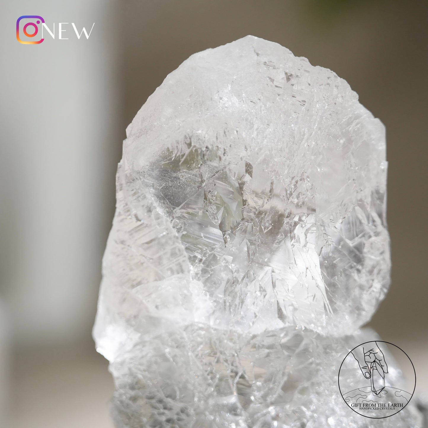 Indian Himalayan clear quartz with green phantom & golden rutile