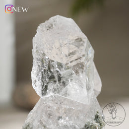 印度喜馬拉雅白水晶綠幽靈、金鈦晶共生