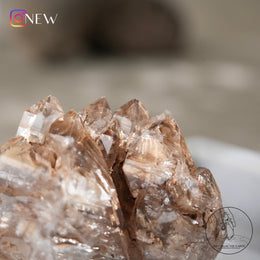 Skeletal Quartz