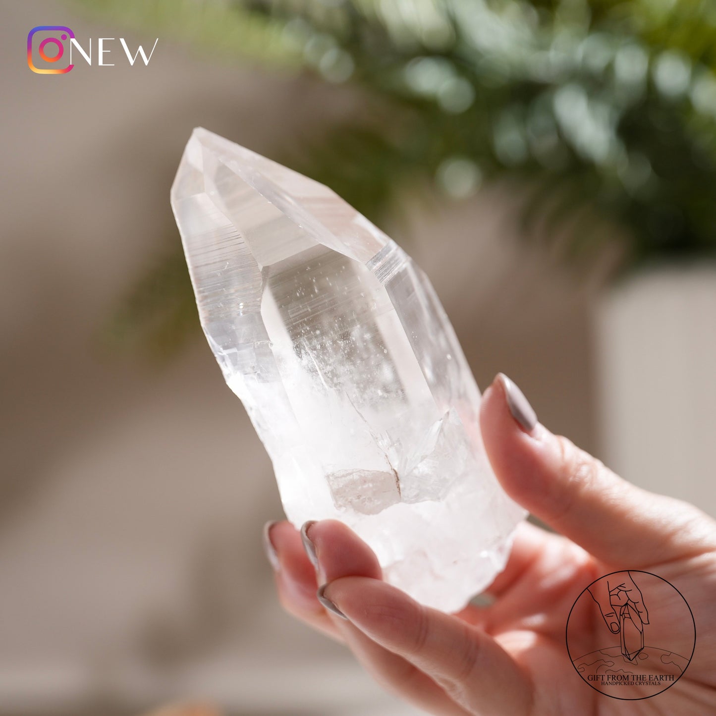 Brazilian lemurian quartz