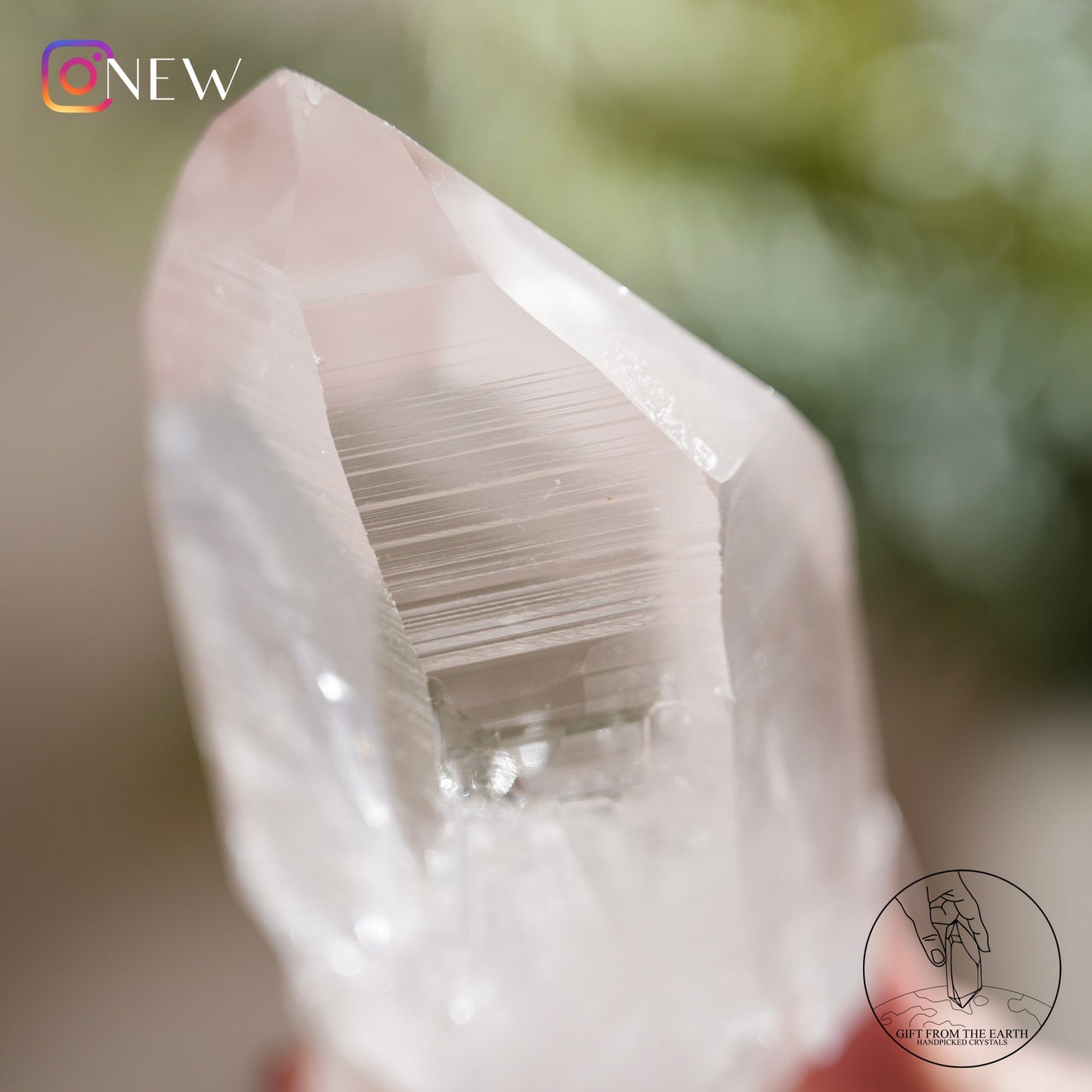 Brazilian lemurian quartz