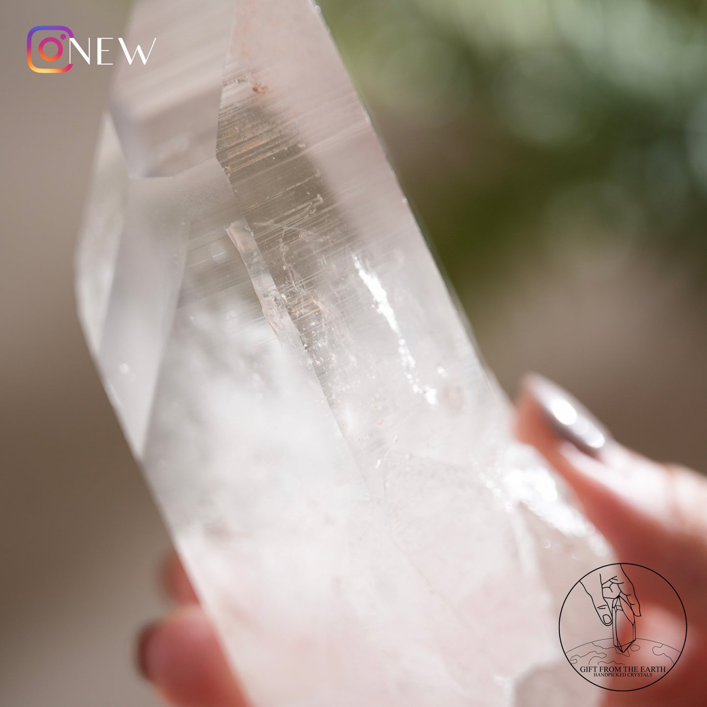 Brazilian lemurian quartz