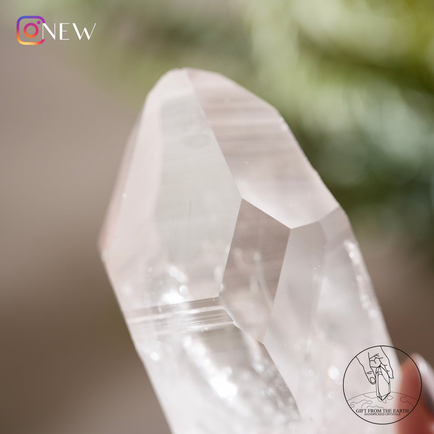 Brazilian lemurian quartz