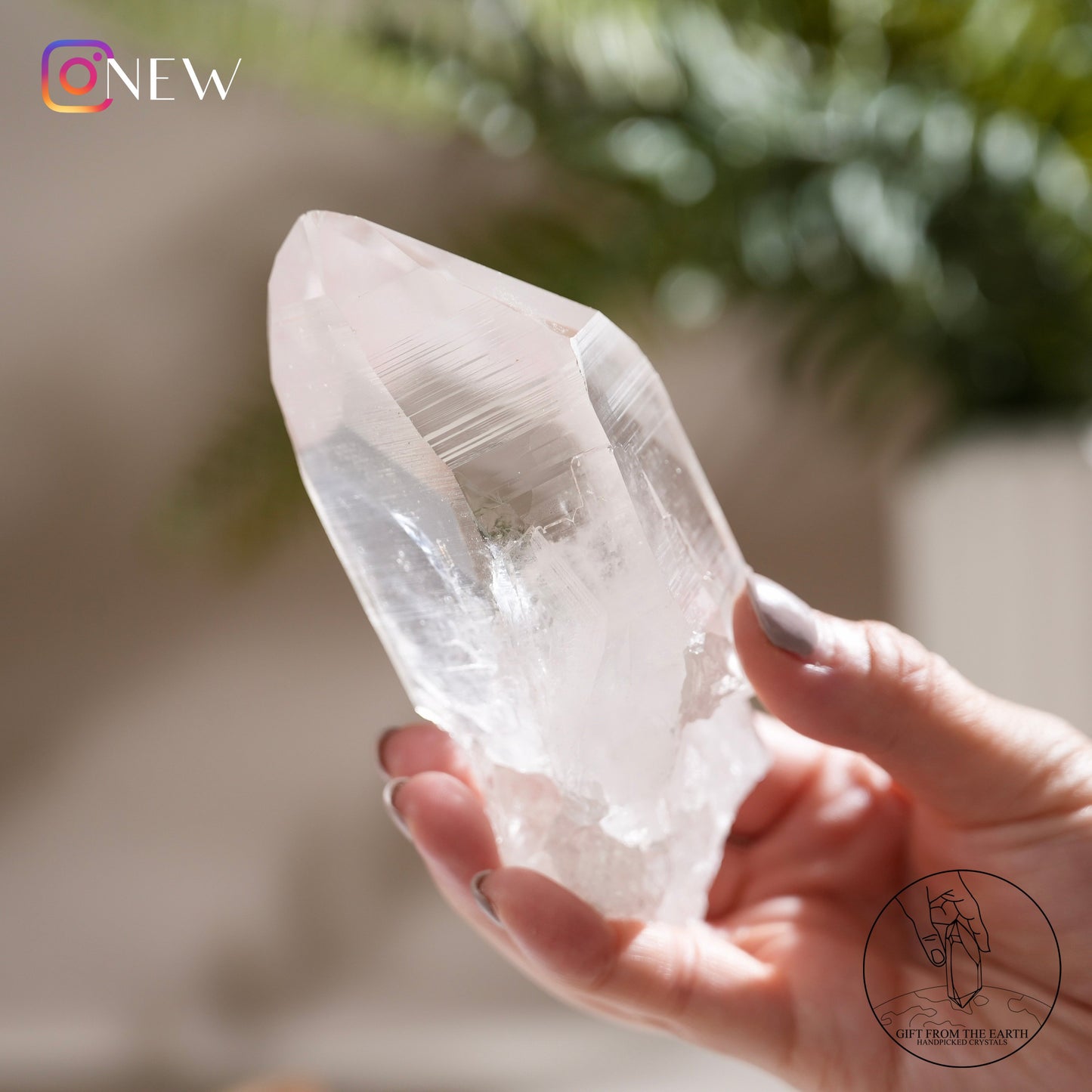 Brazilian lemurian quartz