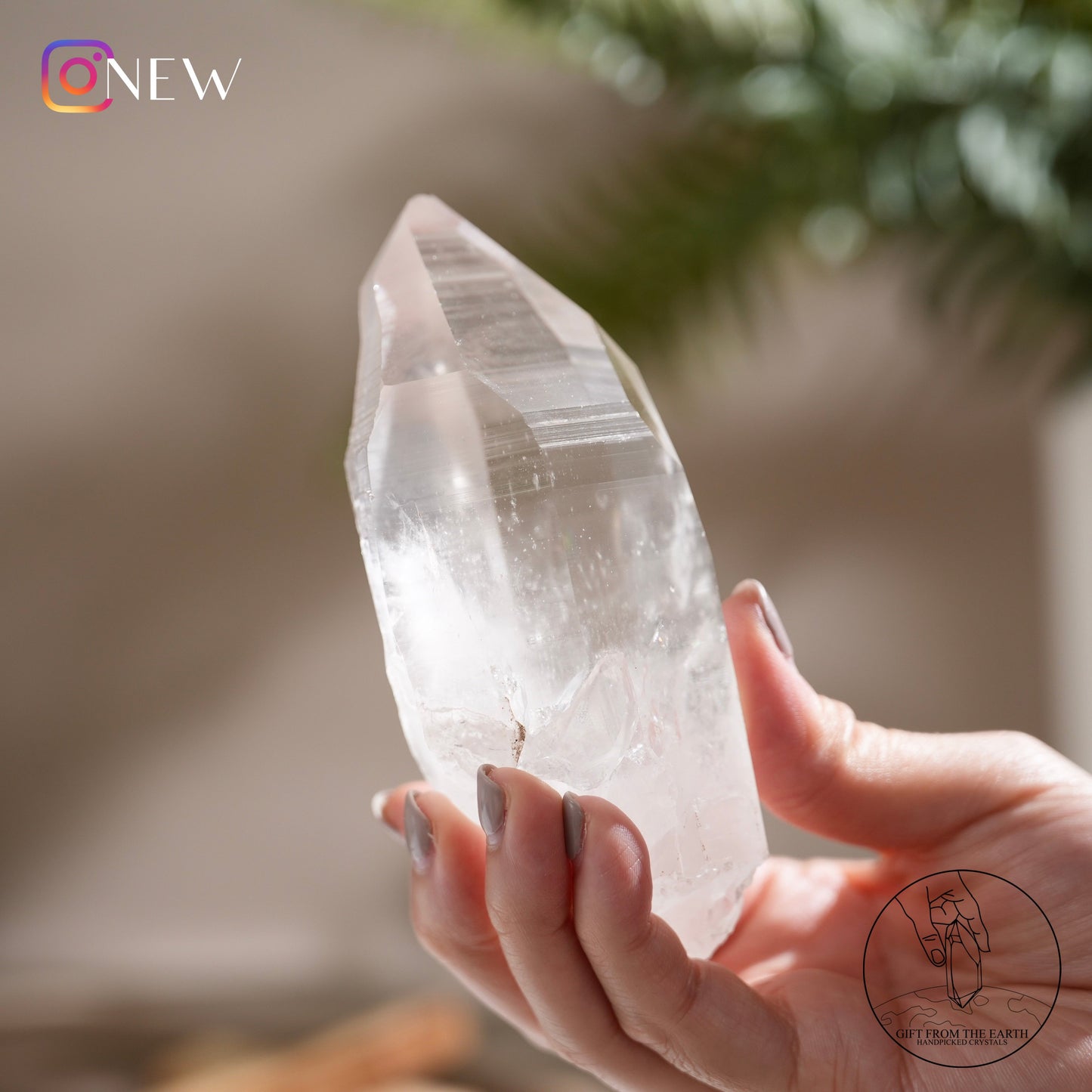 Brazilian lemurian quartz