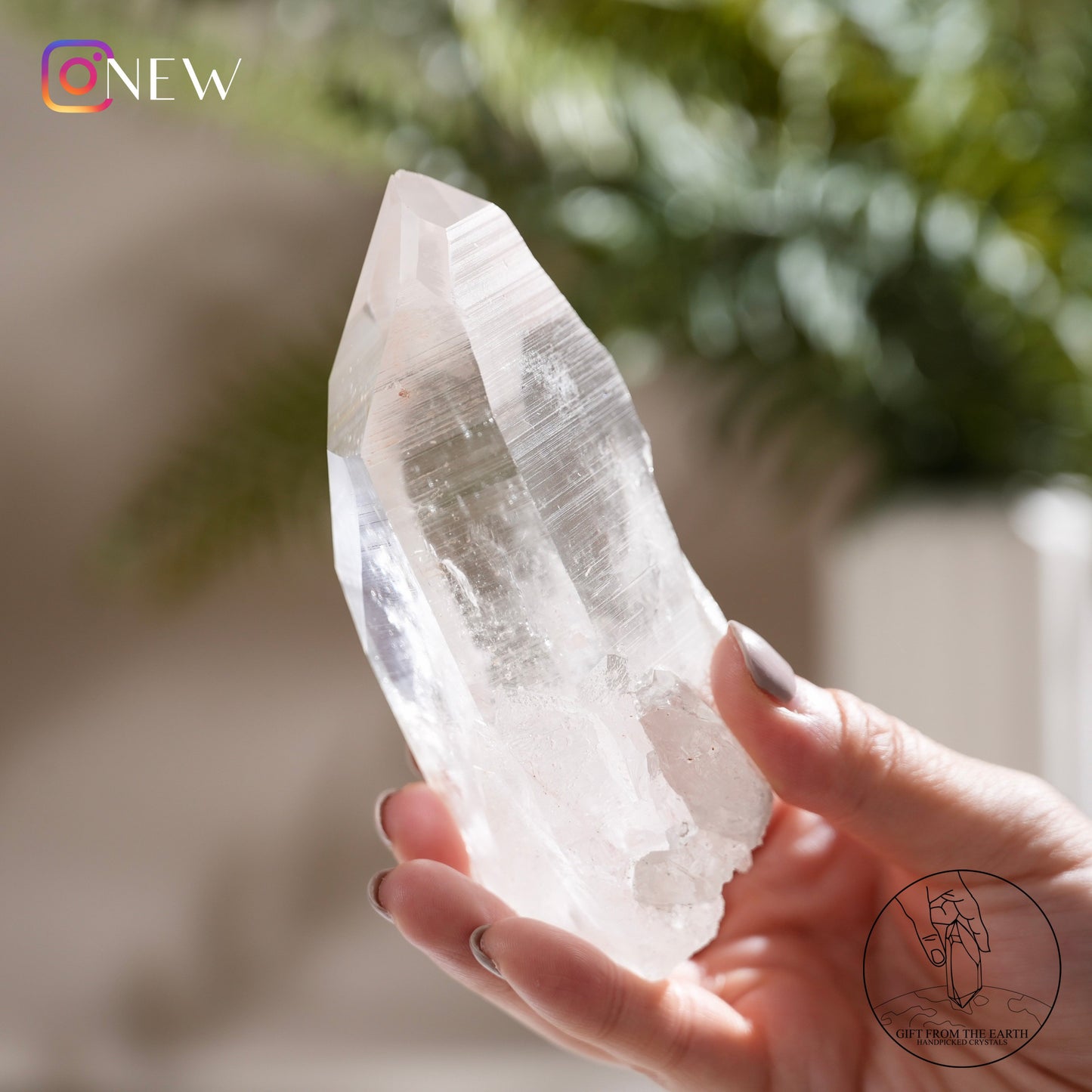 Brazilian lemurian quartz