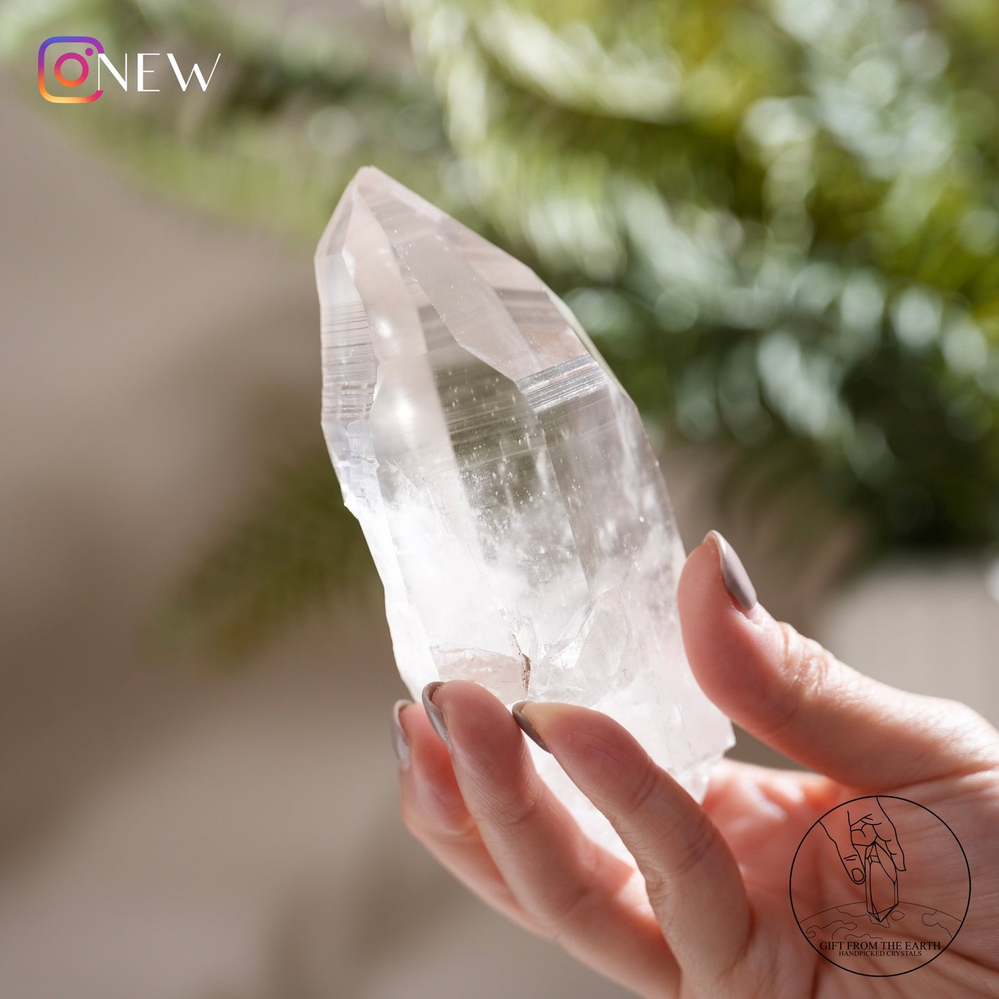 Brazilian lemurian quartz