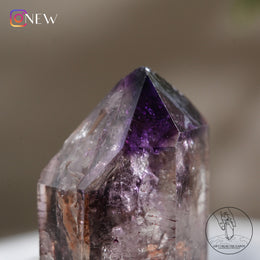 雙生水膽超七骸骨水晶