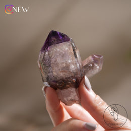 雙生水膽超七骸骨水晶