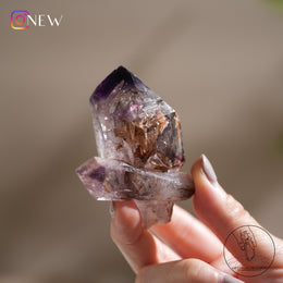 雙生水膽超七骸骨水晶