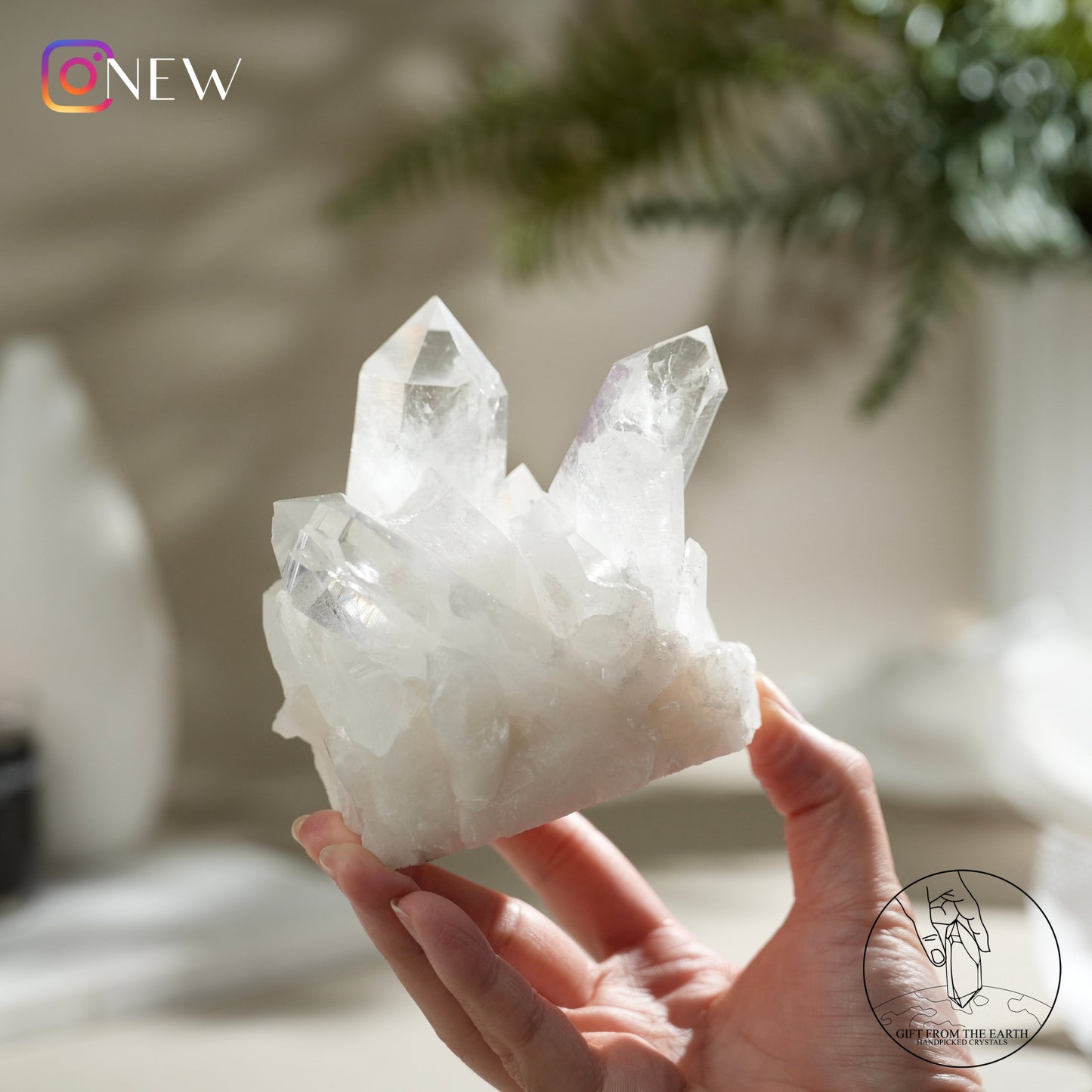 Colombian clear quartz cluster