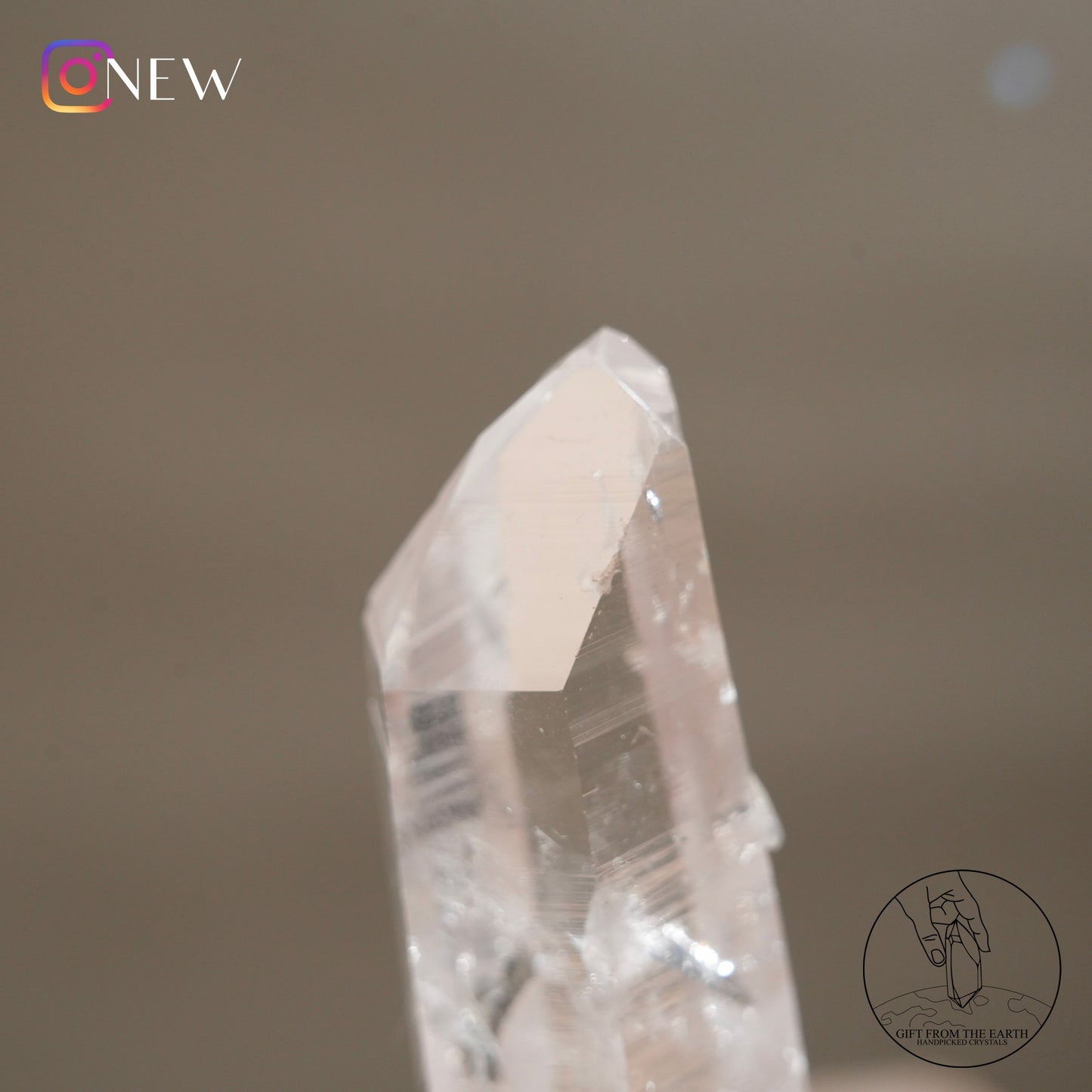 Colombian twin lemurian quartz