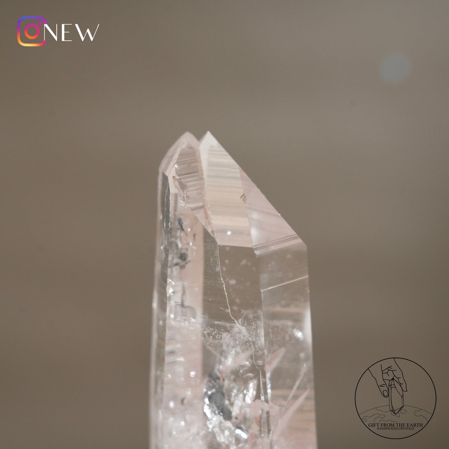 Colombian twin lemurian quartz