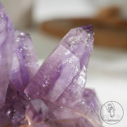 Veracruz Amethyst Cluster