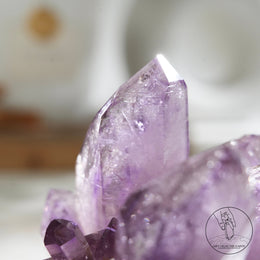 Veracruz Amethyst Cluster