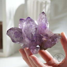 Veracruz Amethyst Cluster