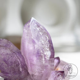Veracruz Amethyst Cluster
